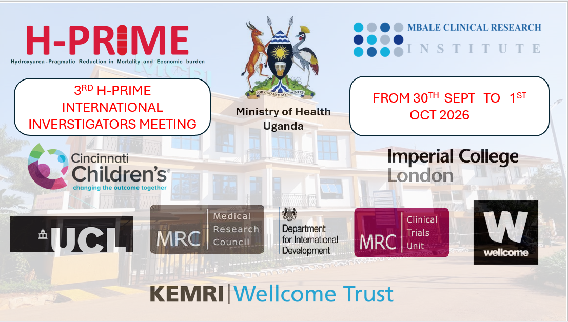 3rd H-PRIME International investigators meeting