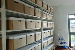 image (2)